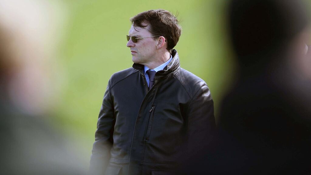 It was a successful day for Aidan O’Brien as Bondi Beach also won at Navan. Photo: Inpho