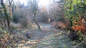 10 great family walks for Christmas