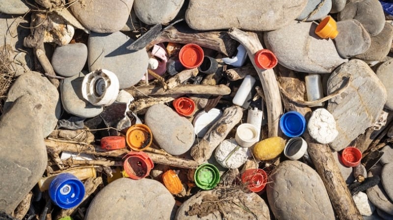 More rubbish collected by Clean Coasts Ballynamona. Photograph: Cathal Noonan photography
