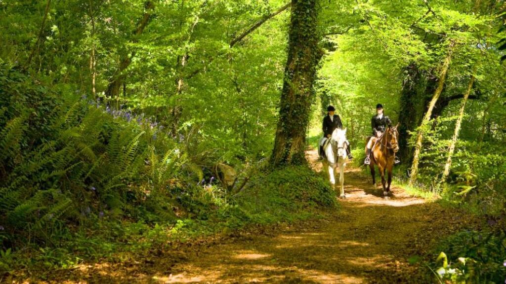 Mount Juliet Estate in Thomastown, Co Kilkenny