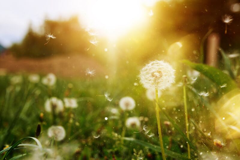 grianghraf: istock/getty images