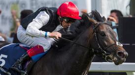Dettori misses out on chance to partner Bondi Beach in St Leger