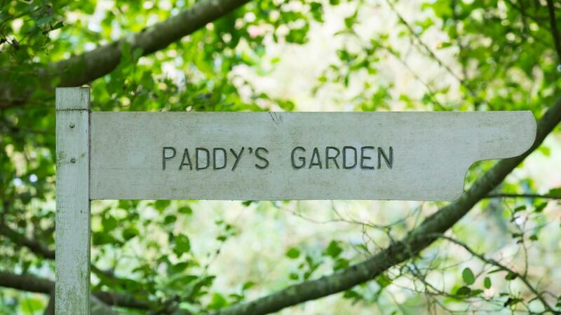 Liz Fitzgerald’s garden at Dunmore East, Co Waterford. Photograph: Patrick Browne