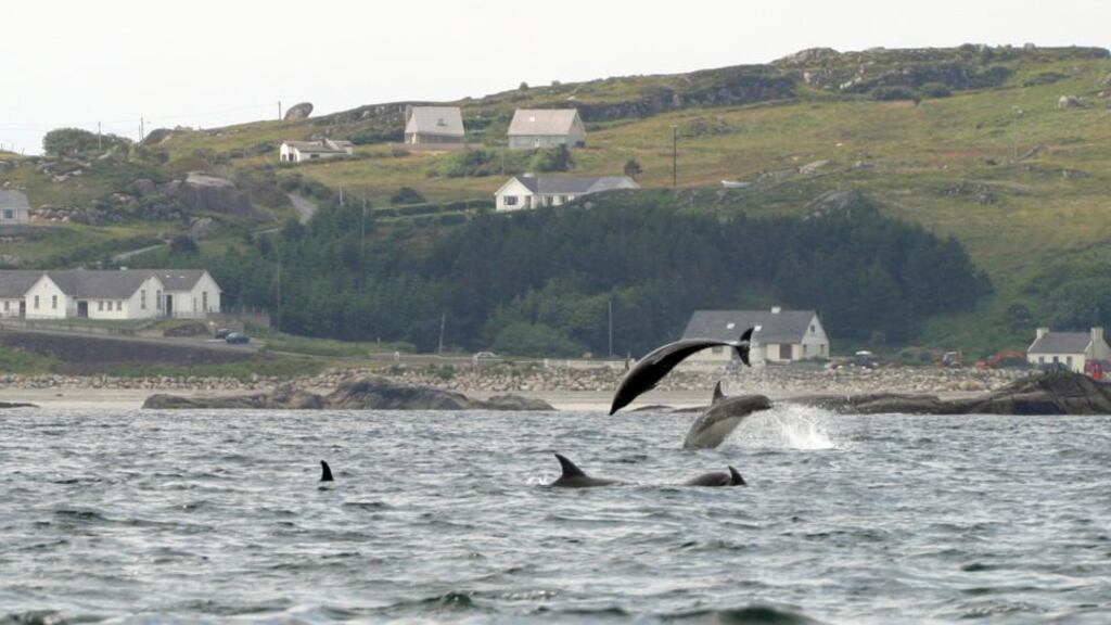 Arranmore Island: Dominic Sweeney, owner of the passenger ferry Rhum, which operates between Burtonport and Arranmore Island, was prosecuted for overloading his vessel.