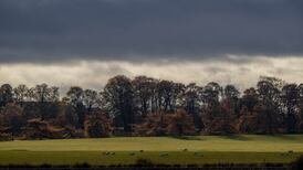 Curragh to undergo Saturday morning inspection ahead of 2,000 Guineas