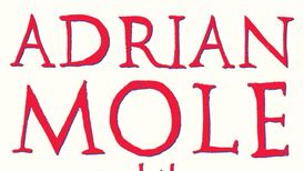 Sue Townsend: ‘I hate it when people call me a national treasure’