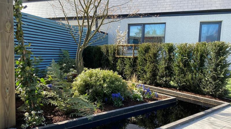 ‘Reflections’ show garden by Mark Hoey