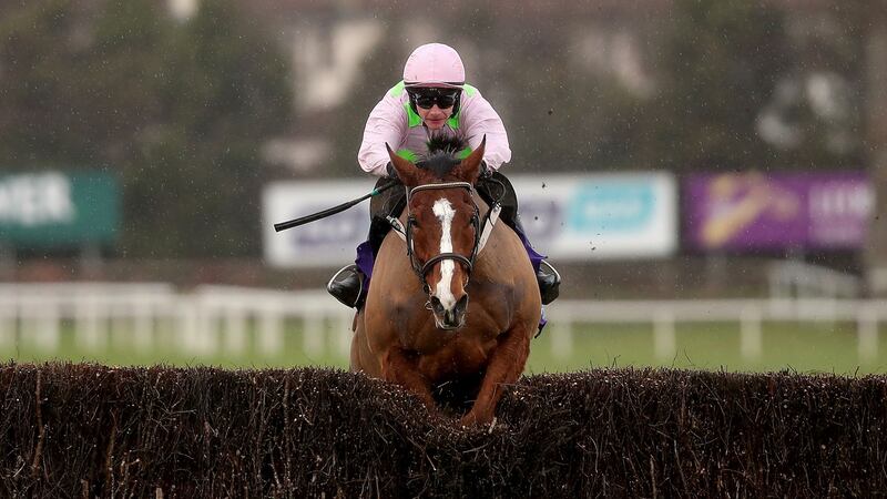 2015 Champion Hurdle winner Faugheen is unbeaten in three runs over fences. Photograph: Bryan Keane/Inpho