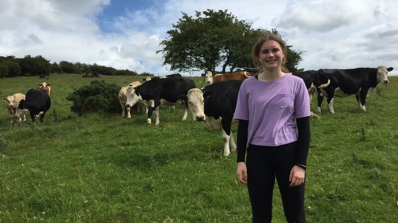 Philip Lynch’s daughter Maol hill in Co Westmeath.