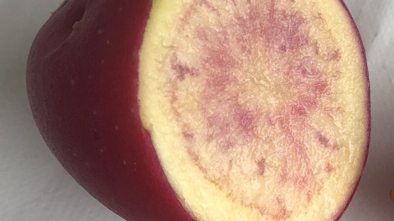 Potatoes exposed to light or sunburned are toxic.