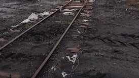 Bog villages after peat production ended: ‘What grew afterwards was amazing: the wildlife, the biodiversity’
