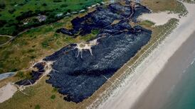 ‘Extremely fortunate’ no one died in fire at popular Wexford beach