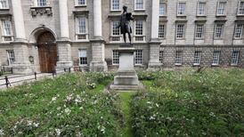 Botanists not wild about Trinity College’s wildflower ‘meadow’