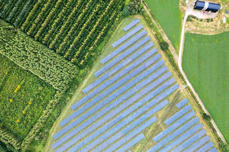 The Quickening by Deirdre O'Mahony. Photograph: Tom Flanagan