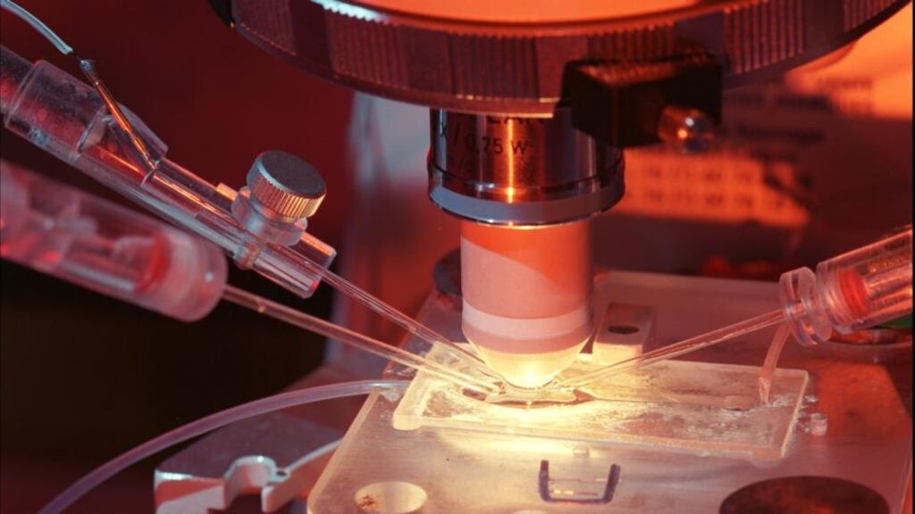 Variant CJD – originally found among cannibals in Papua New Guinea – is caused by the same prion strain that caused the BSE epidemic in cattle in the mid-1990s in Britain and Ireland. Above, research is carried out into Creutzfeldt-Jakob disease.  Photograph: Raphael Gaillarde/Gamma-Rapho via Getty Images