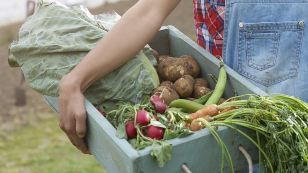 Kinsale Green Growers was set up in 2010 to supply organic vegetables from a plot of land just outside Kinsale town