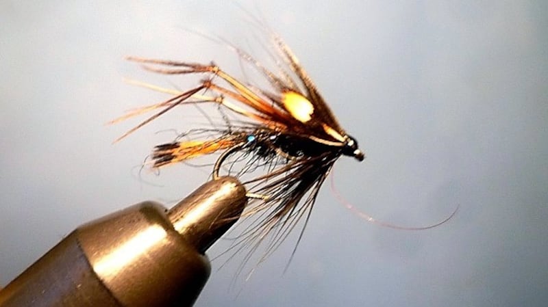 Black Jungle Cock Hopper fly, tied by irishflycraft@gmail.com.