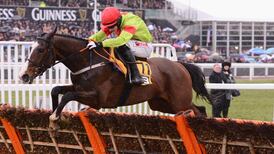 Our Conor to reappear in the Curragh Cesarewitch next month