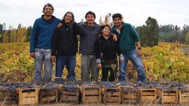 Chile’s newest wines from some of the oldest vines