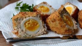 From Bad to Words - Frank McNally on ‘permacrisis’ as word of the year