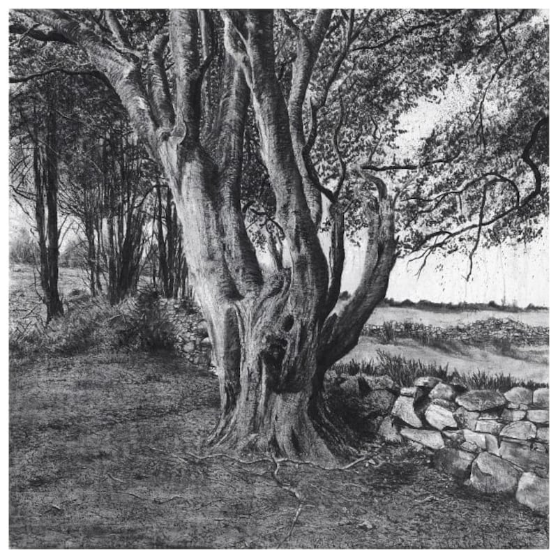 Charcoal works by Michael Wann are currently on show at the Solomon Fine Art Gallery in Dublin