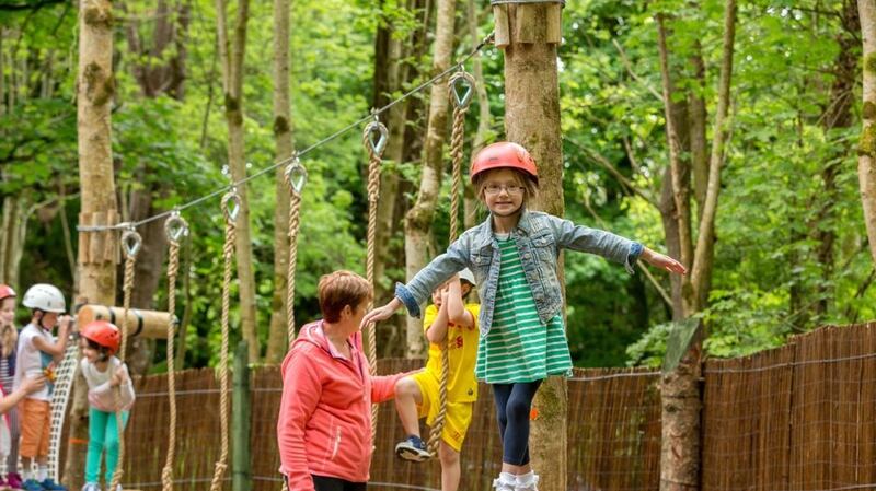Woodland adventures in the Castlecomer Discovery Park, Co Kilkenny.