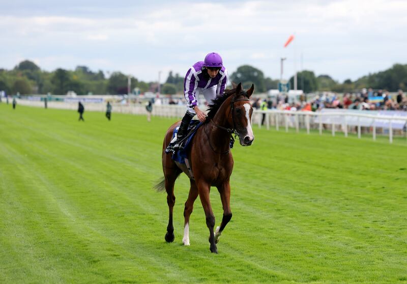 Minnie Hauk ridden by Ryan Moore after winning the Pertemps Yorkshire Oaks. Photograph: Richard Sellers/PA