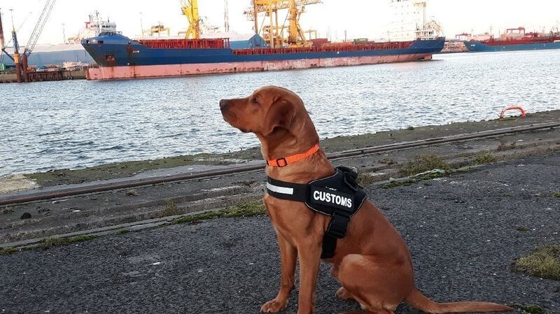 Sniffer dog Blue was deployed in the search for the contraband