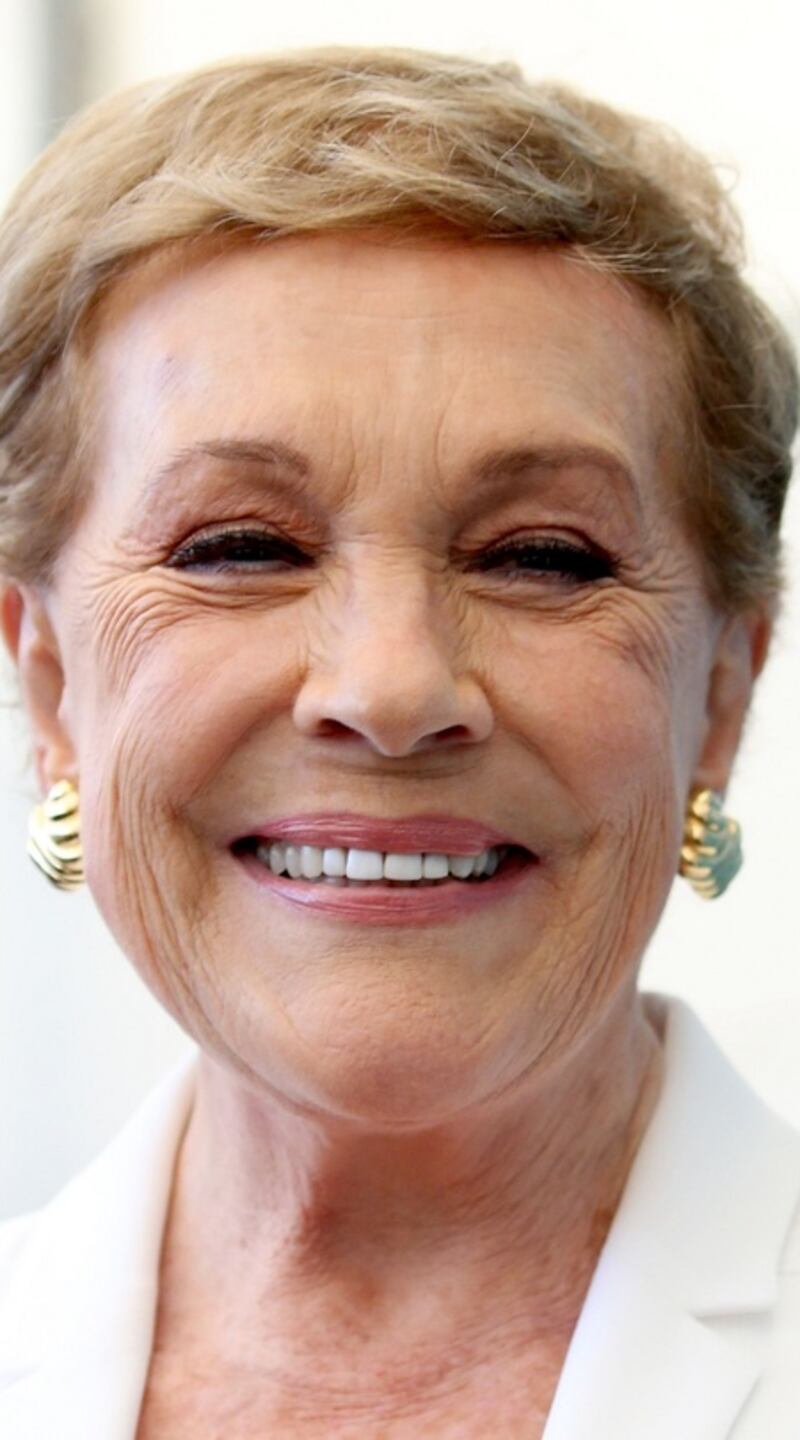 Julie Andrews: ‘I think probably subliminally I was trying to give kids as good a feeling as I could.’ Photograph: Franco Origlia/Getty