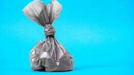 Level of dog fouling at Galway city black spots falls by half due to initiative