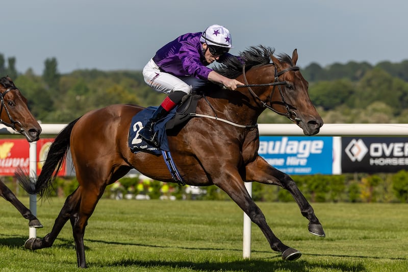 David Egan and Bucanero Fuerte win The Sole Power Sprint Stakes at Naas in May. Photograph:
Morgan Tracey/Inpho