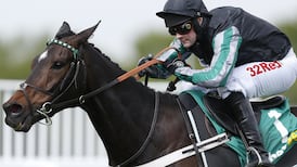 Altior can bounce back from injury hiccup and reward punters