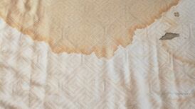 Soiled mattresses, rats and intimidation by ‘fake police’ among tenant reports to tribunal