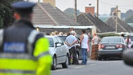 Young brothers found dead in north Cork house