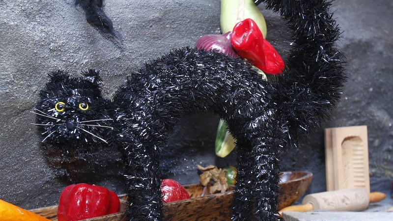 According to Icelandic Christmas folklore, this black cat belonged to the half ogre/half troll Gryla. Photograph: Akron Beacon Journal/Tribune News Service via Getty Images