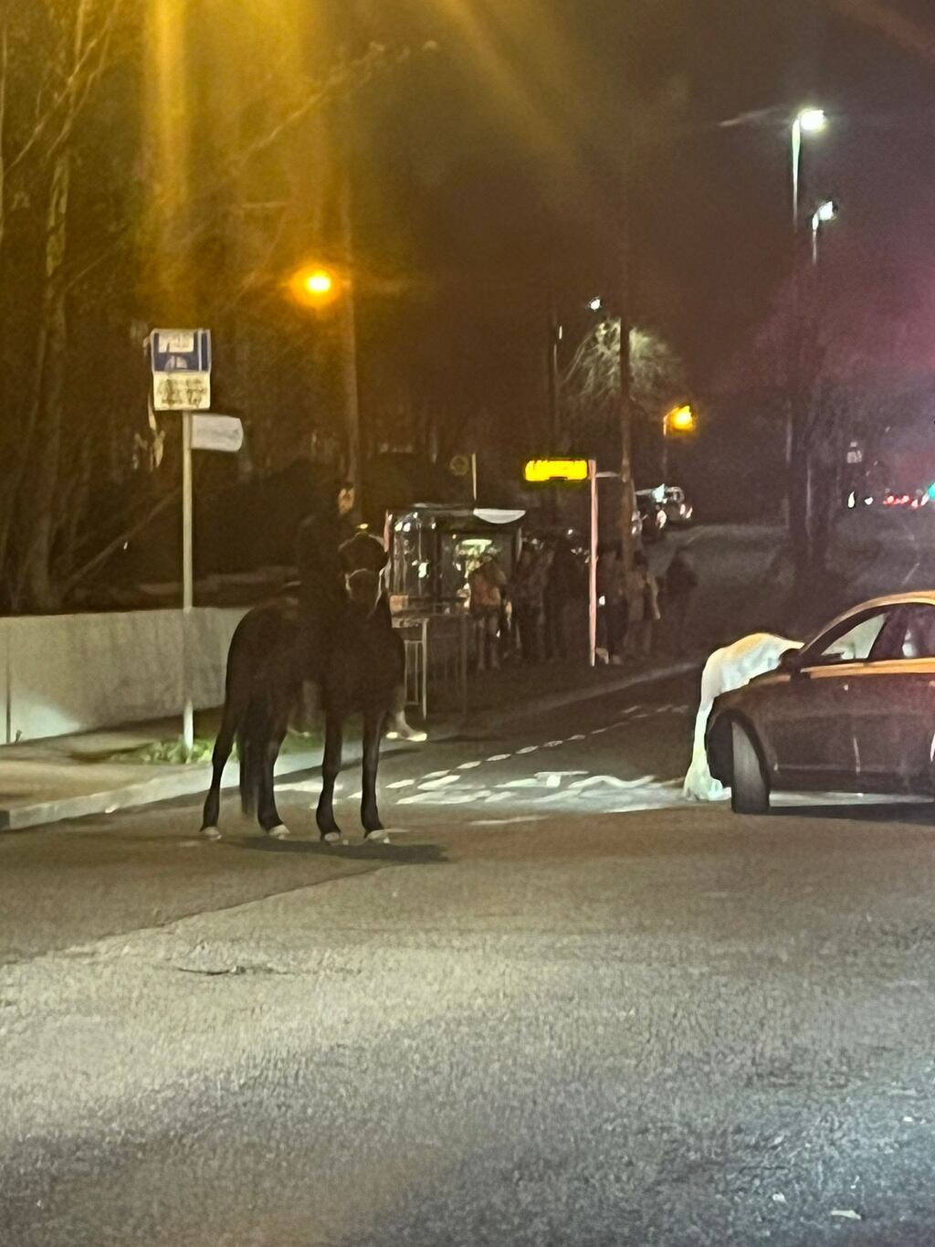 Demonstrators in Coolock on horseback on Wednesday night. Photograph: The Irish Times
