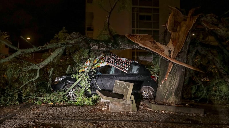 A view of a damaged car hit by a fallen tree after storm Leslie hit Coimbra in central Portugal. Photograph: EPA
