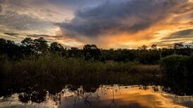 Last wilderness areas on earth disappearing at rapid rate - study