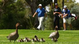 Irish chasing Tour cards struggle in Perth