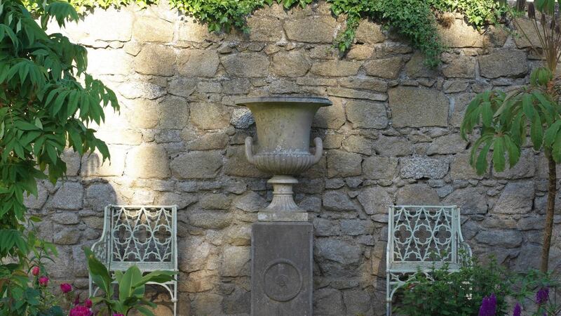 Helen and Val Dillon's new town garden in Monkstown Photo Credit Richard Johnston