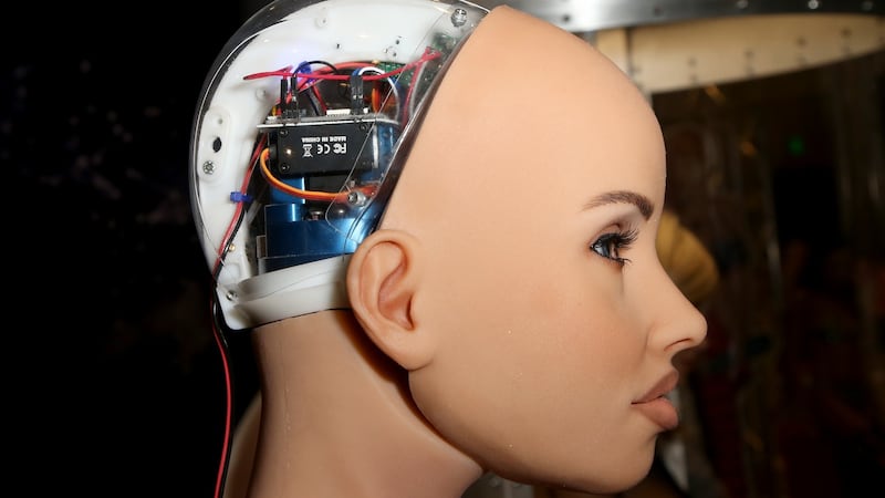 A Harmony RealDoll customizable sex robot. Photograph: Gabe Ginsberg/WireImage