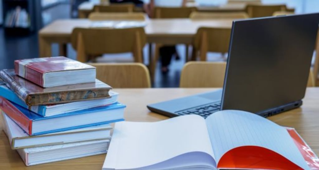 John Conneely said that for  syllabus design to conform to international best practice it should contain considerable detail on areas such as the topics to be studied. File photograph: iStock