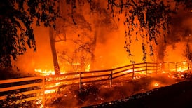 Fire threatens LA homes as blaze in California wine country rages on