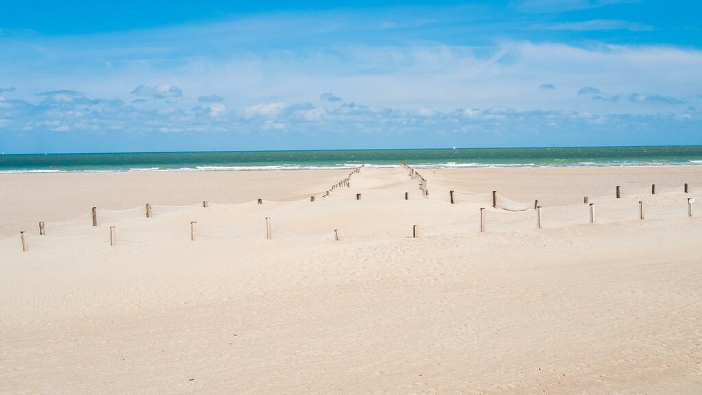 Military resources and civilian boats have been involved in the rescue operation after the vessel was seen in difficulty near Dunkirk. File photograph: iStock