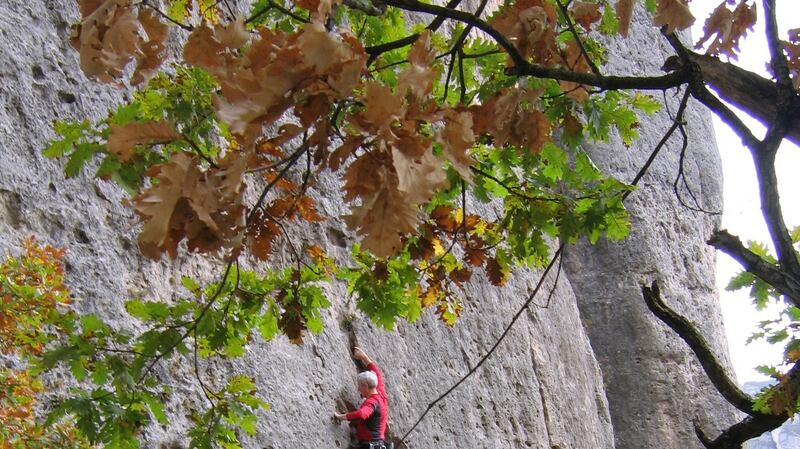 Paul Daly on French cliffs of Gorge du Tarn. Photograph:  Dermot Sheils
