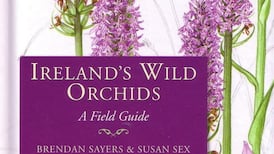 Rare books in demand