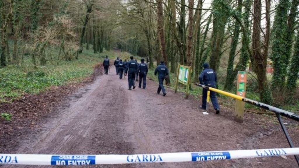 Gardaí conduct a search at Mitchell’s Wood, Castlemartyr, Co Cork. Photograph: Michael Mac Sweeney/Provision