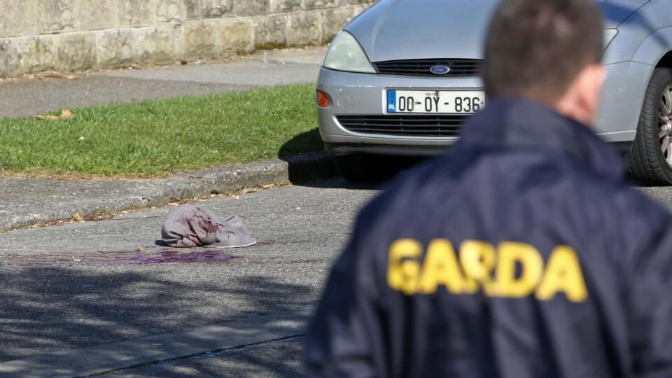 The scene of a shooting on Holywell Avenmue, Donaghmede, Dublin this morning. Photograph: Collins.