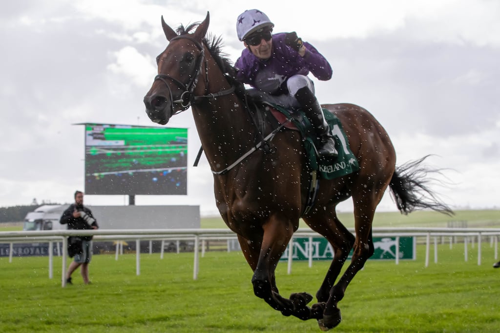Bucanero Fuerte: 'We have a very good feeling about his recovery and a very good feeling about how he is training at home,' said Kia Joorabchian. Photograph: Morgan Treacy/Inpho