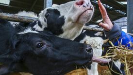 Green Party demand to cut emissions by 7% a year may be most daunting